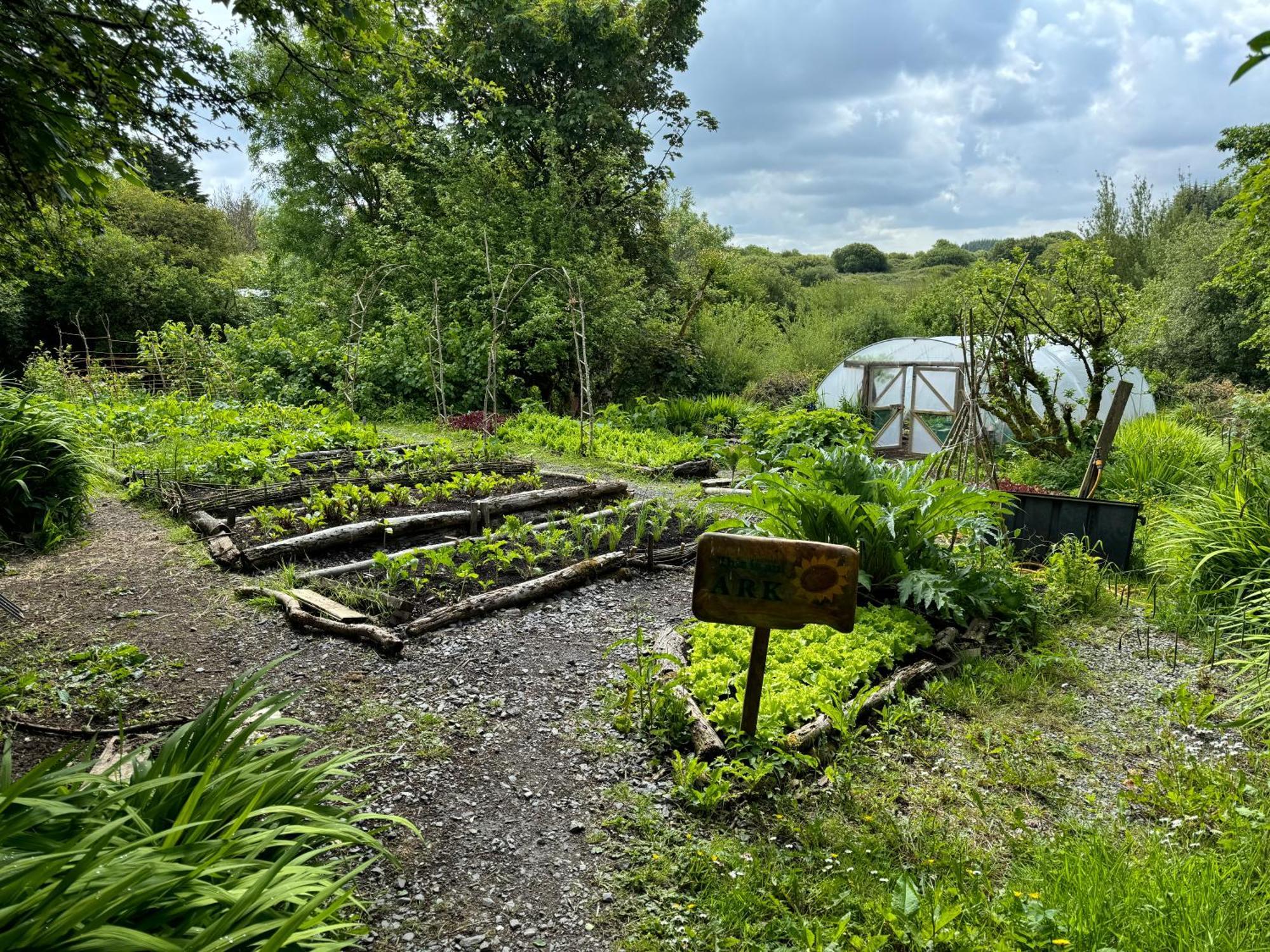 The Common Knowledge Centre Hostel Kilfenora Luaran gambar